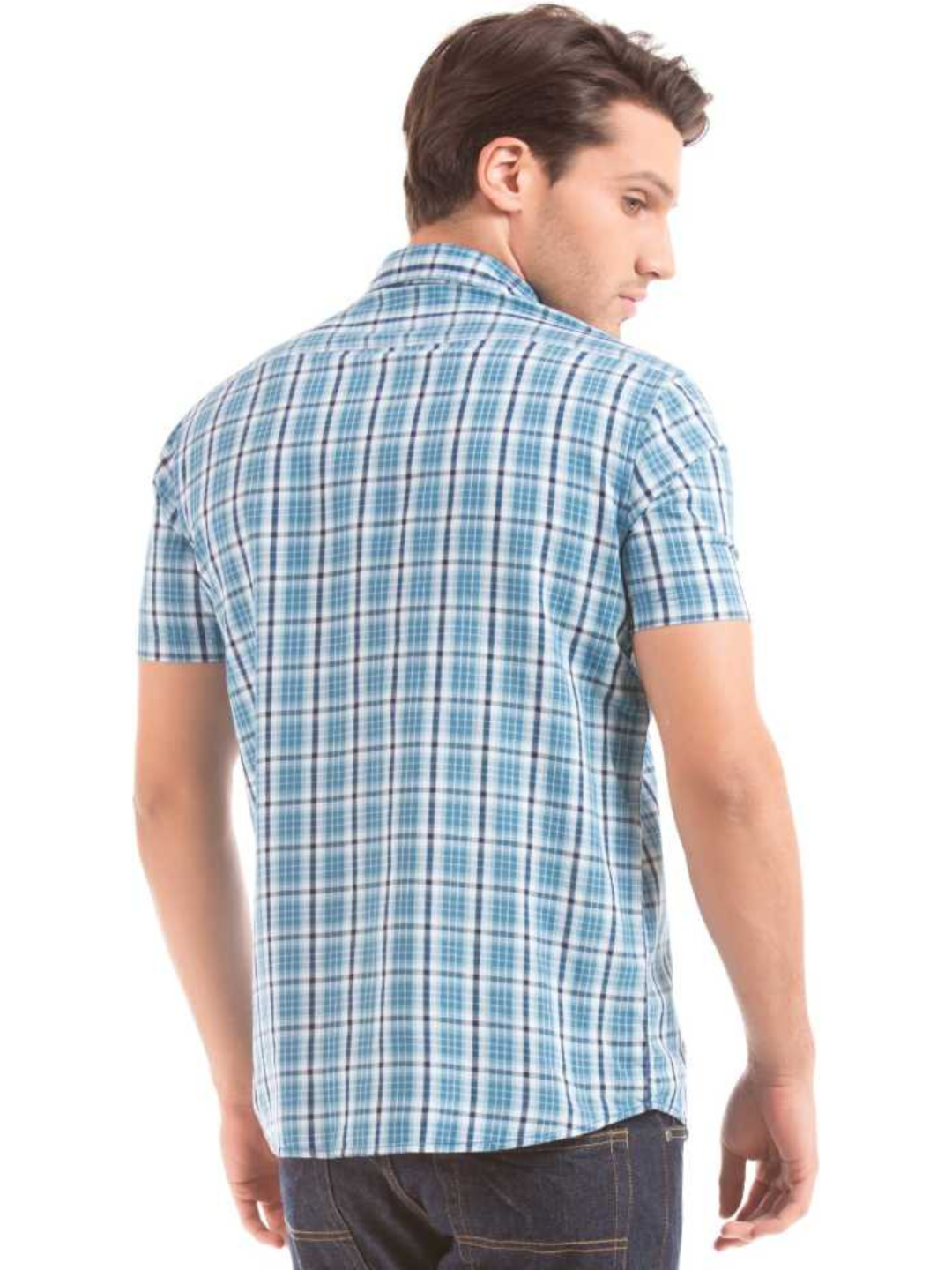 Men Regular Fit Checkered Casual Shirt