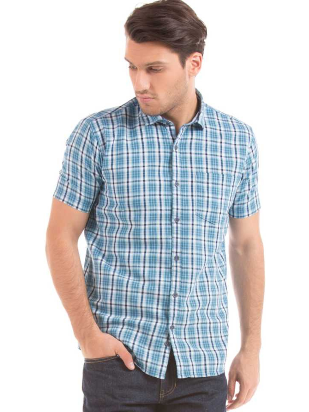 Men Regular Fit Checkered Casual Shirt